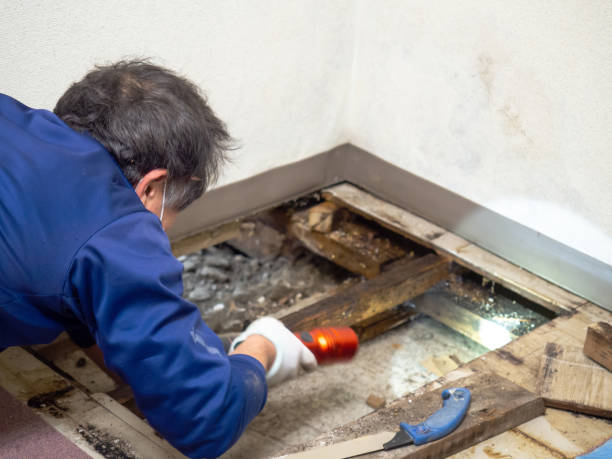 Best Professional Mold Removal  in Danville, PA