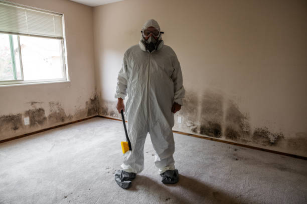 Best Toxic Mold Removal  in Danville, PA